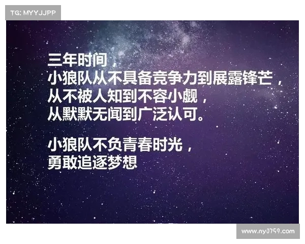 狼队崛起：从默默无闻到英超强者的传奇之路